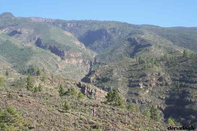 * Image 57