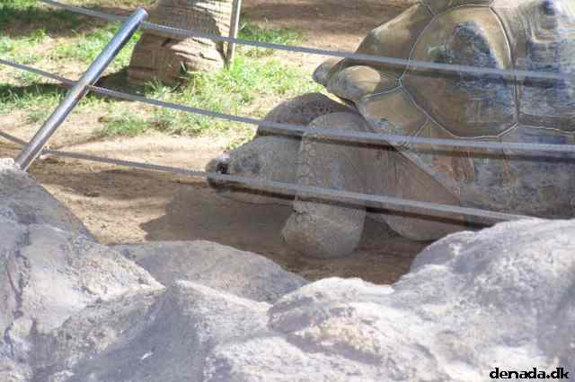 * Image 73