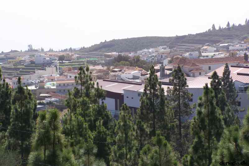 * Image 40
