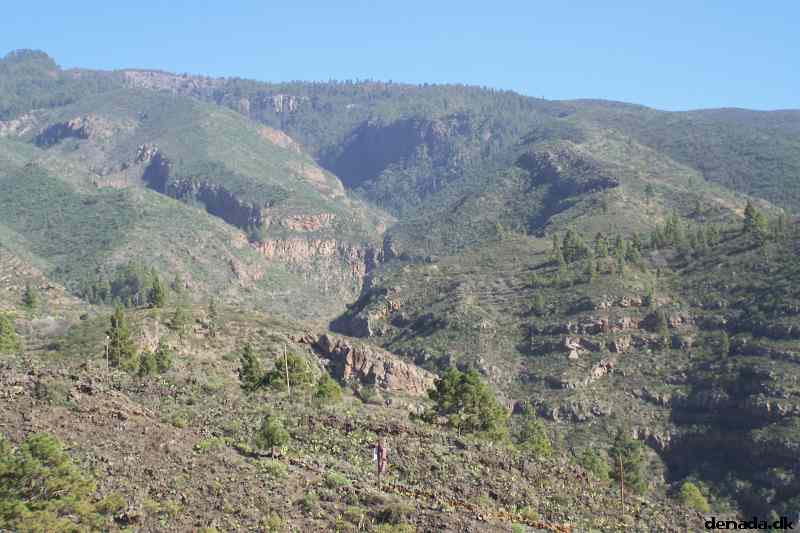 * Image 57