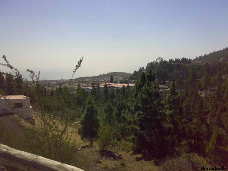 * Image 36