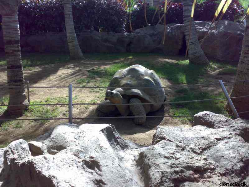 * Image 61