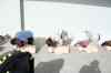 tenerife140.jpg - 2008:01:23 13:08:40