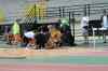 tenerife277.jpg - 2008:01:24 15:34:05