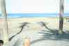 tenerife354.jpg - 2008:01:25 12:27:13