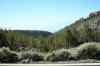 tenerife391.jpg - 2008:01:25 15:42:25