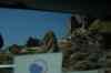 tenerife420.jpg - 2008:01:25 16:07:18