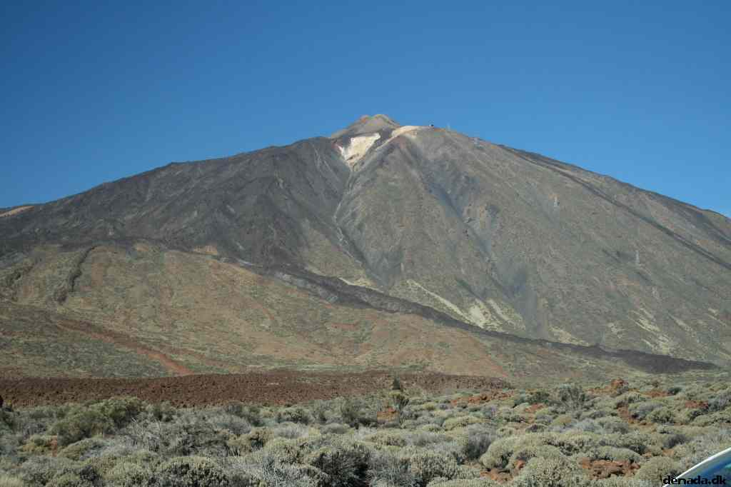 * Image 409