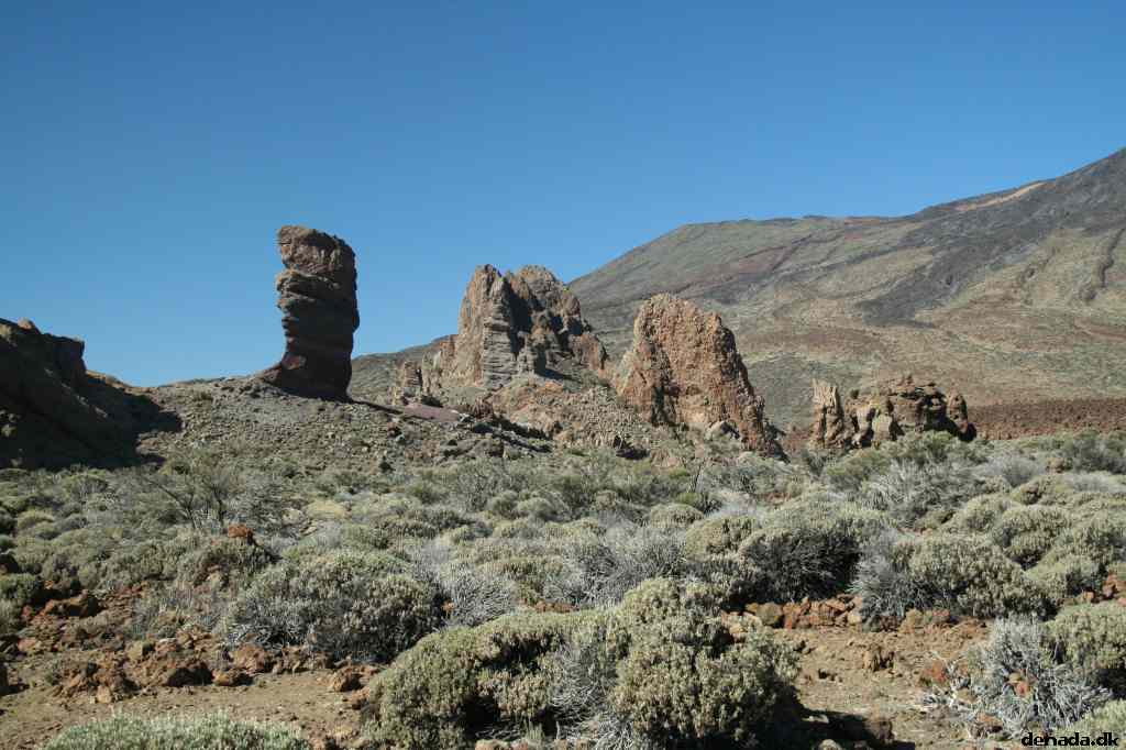 * Image 411