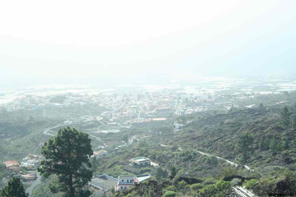 * Image 426