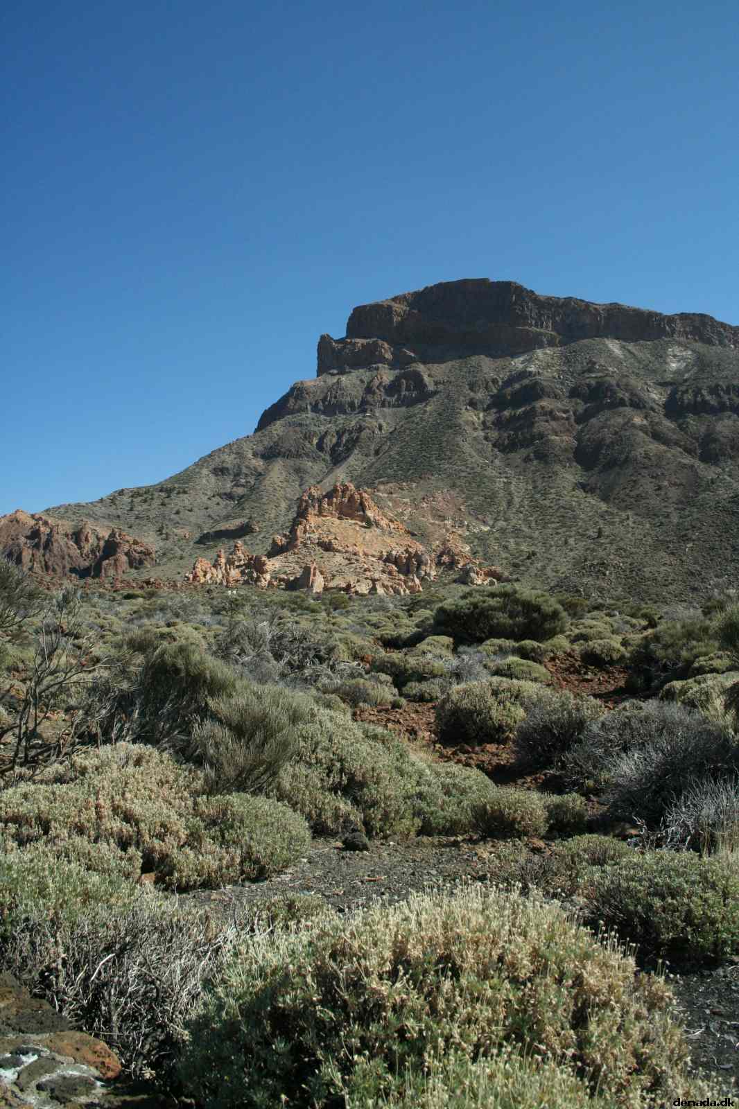 * Image 408