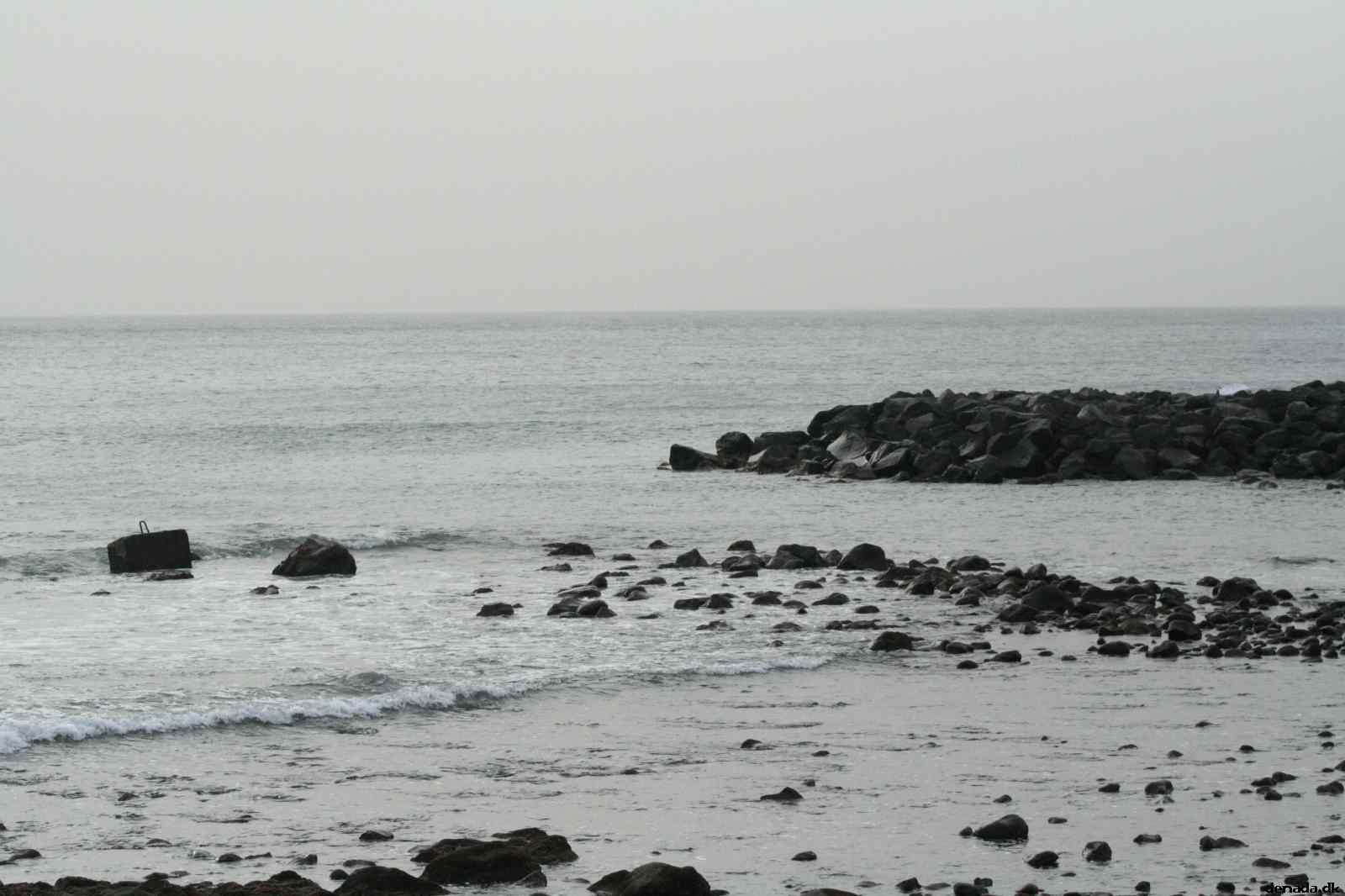 * Image 49