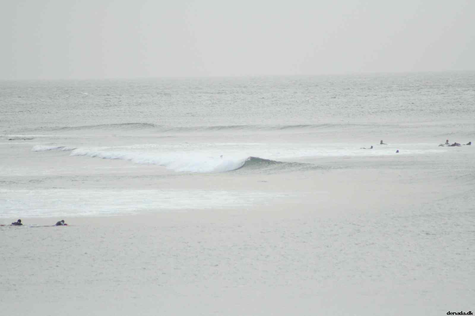 * Image 51