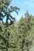 tenerife380.jpg - 2008:01:25 15:17:46