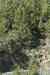 tenerife383.jpg - 2008:01:25 15:18:18