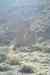 tenerife408.jpg - 2008:01:25 15:49:48