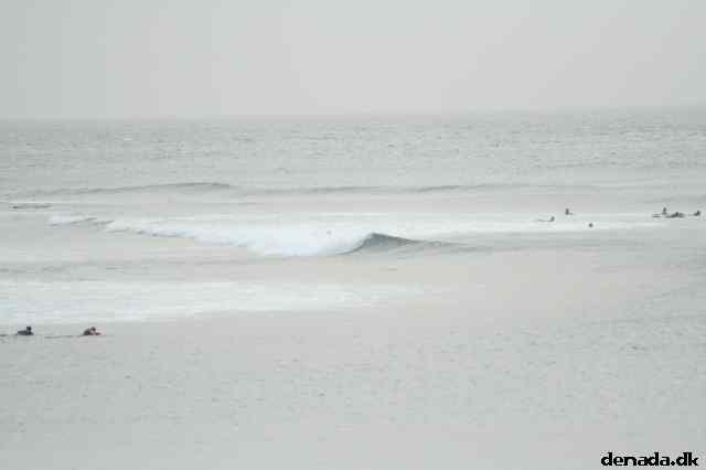 * Image 51