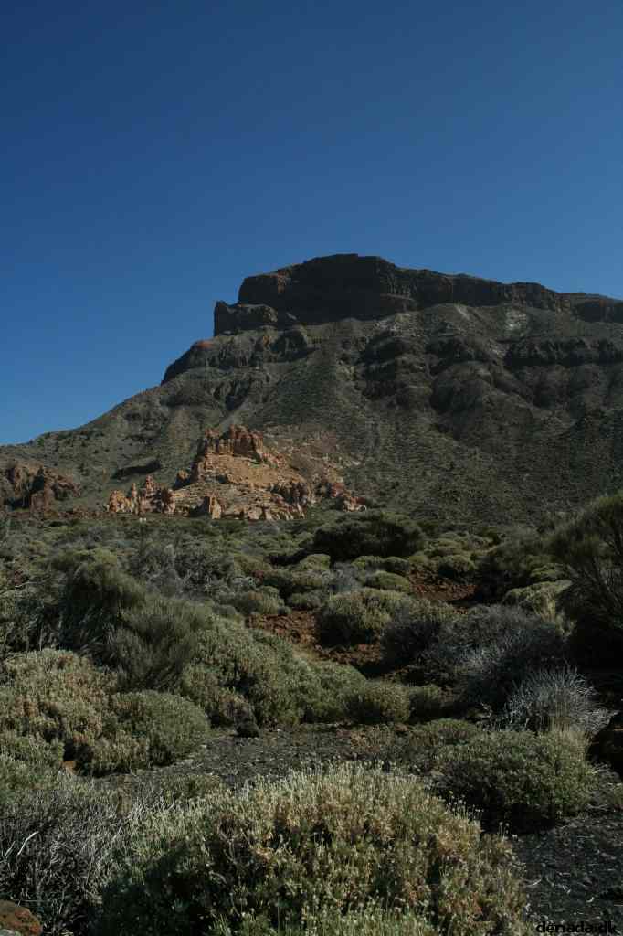 * Image 406