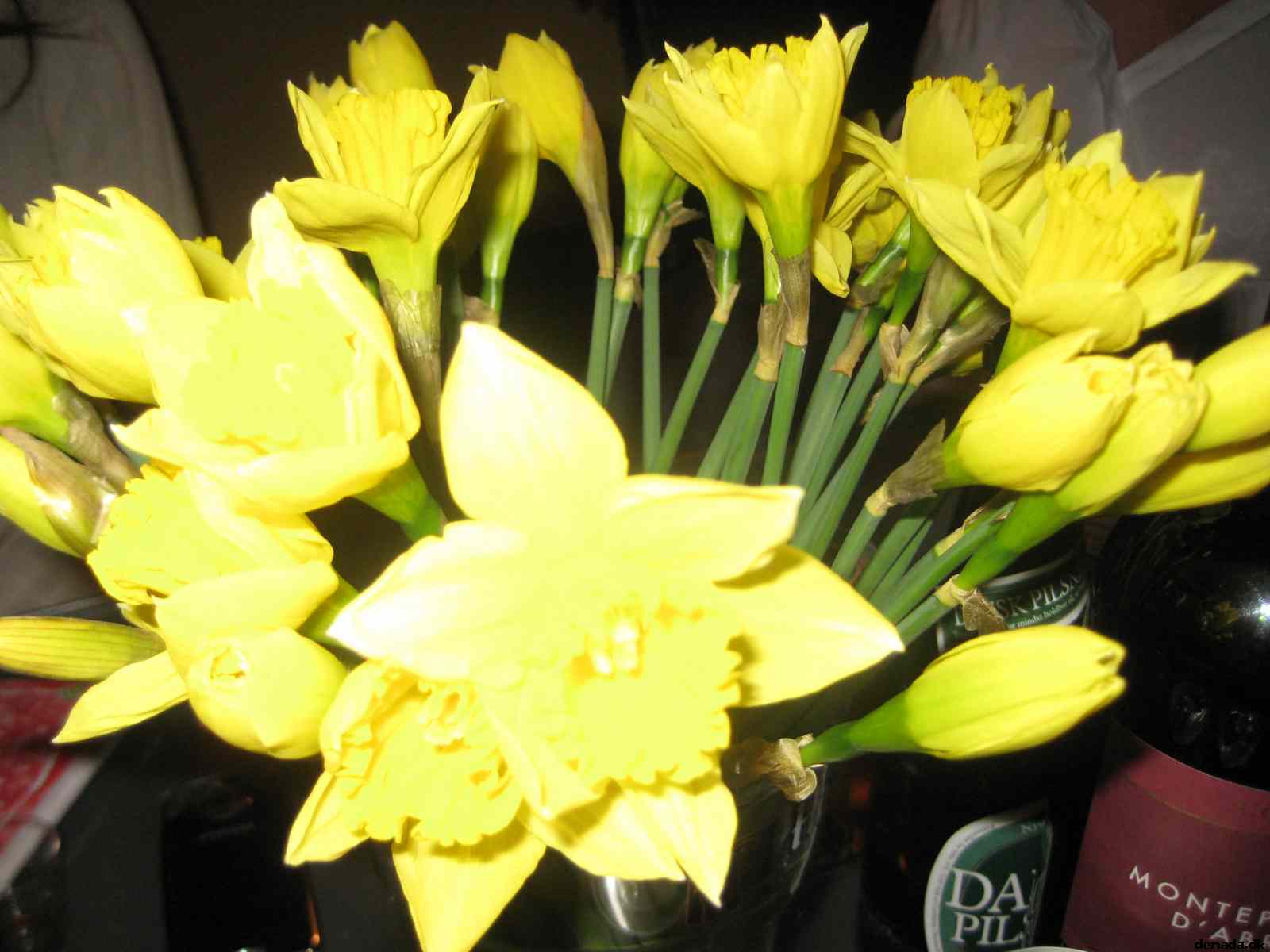 * Image 28