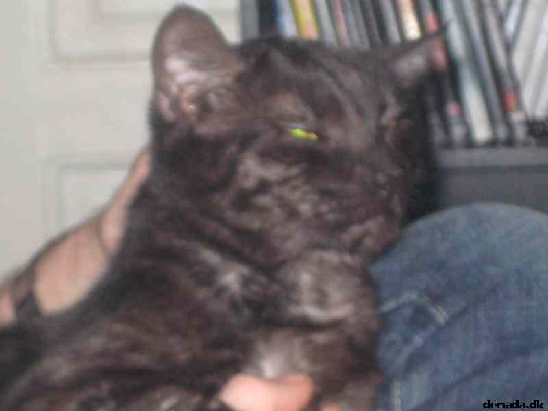 * Image 20
