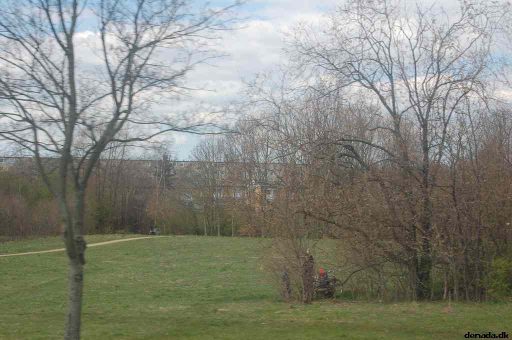 * Image 71