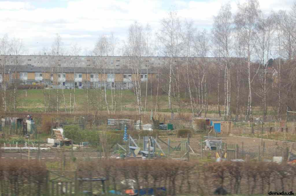 * Image 72