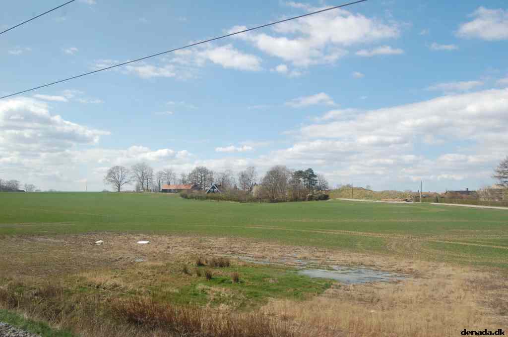 * Image 81