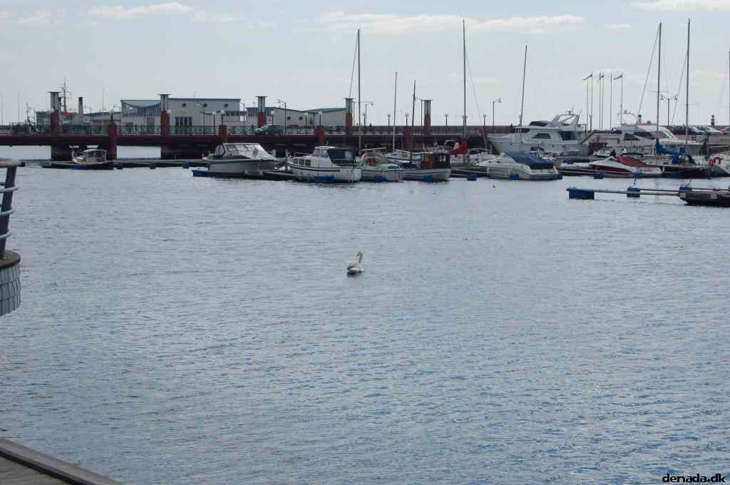* Image 142
