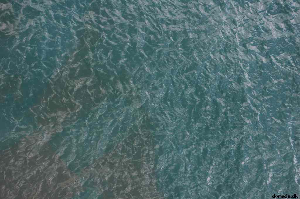 * Image 166