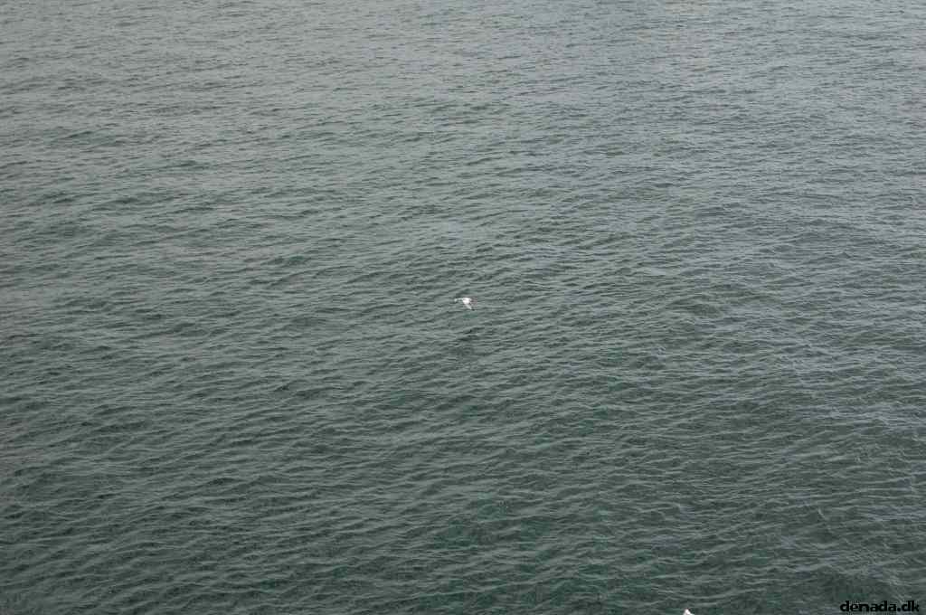 * Image 179