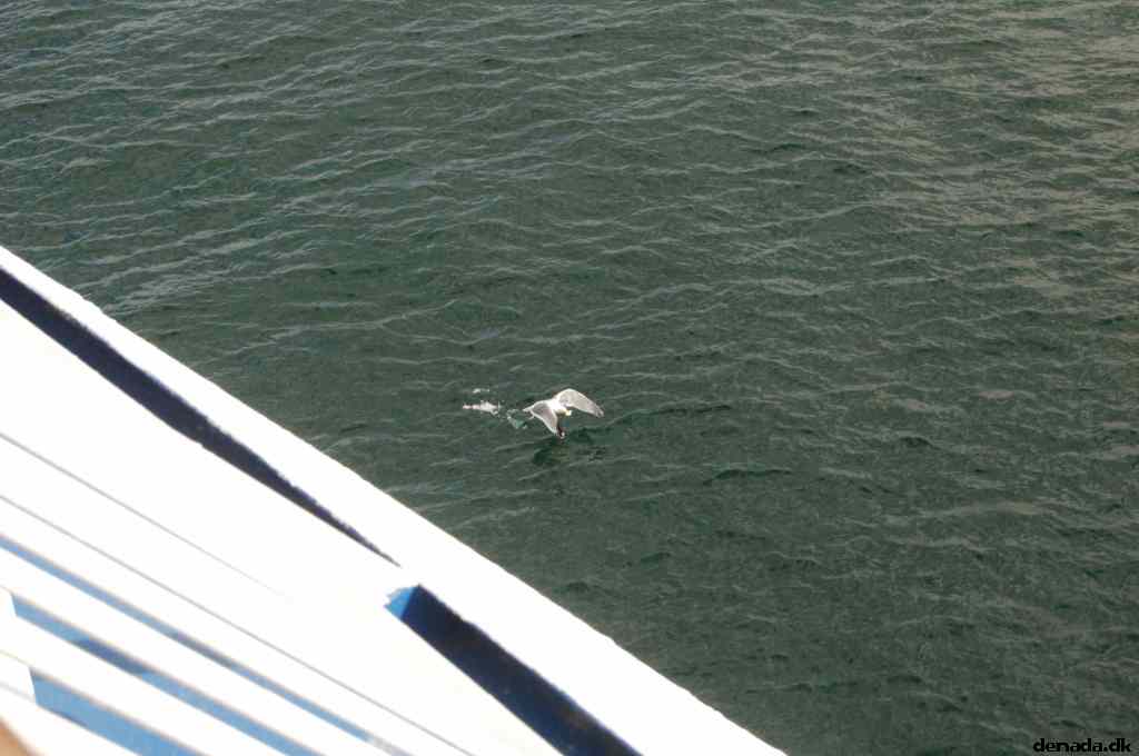 * Image 180