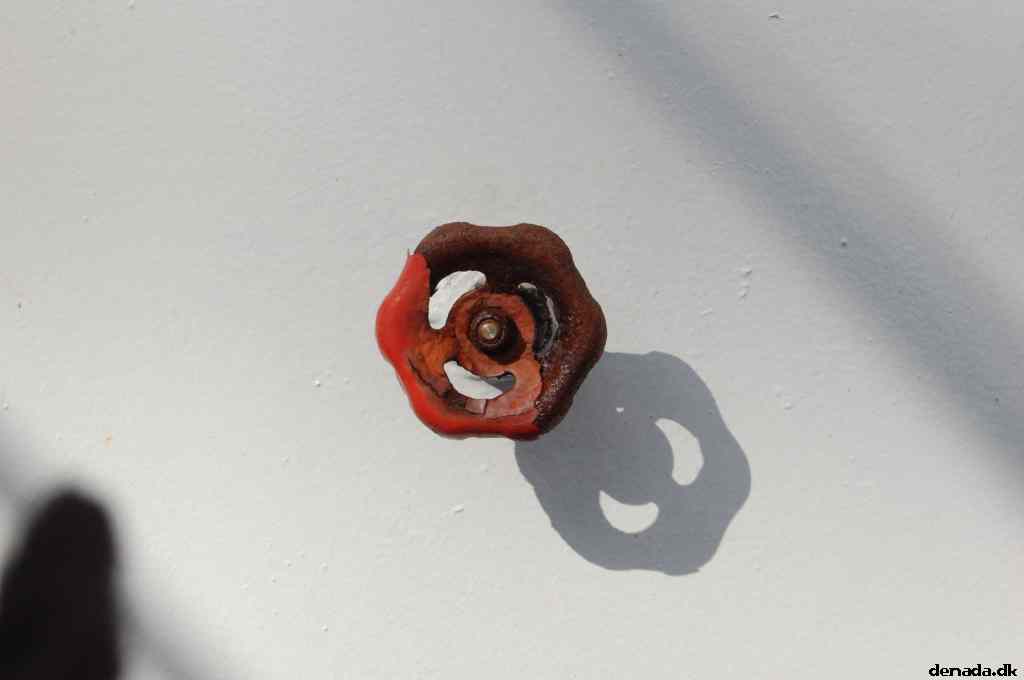 * Image 181