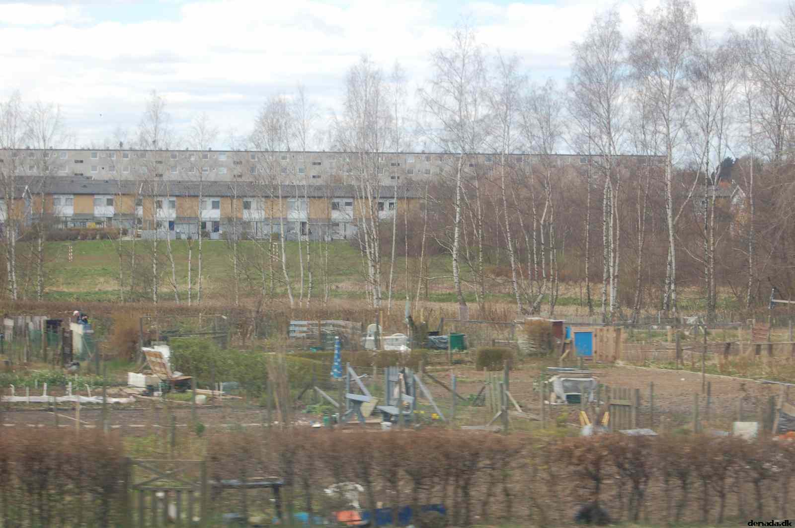 * Image 72