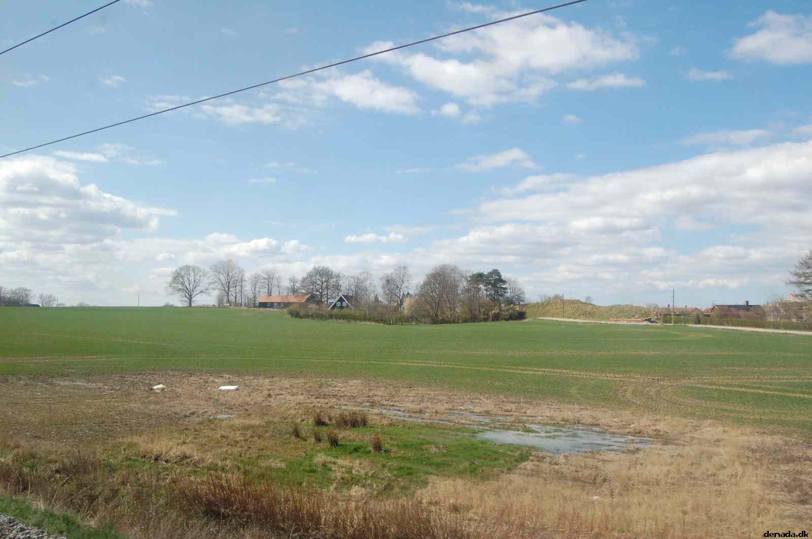 * Image 81