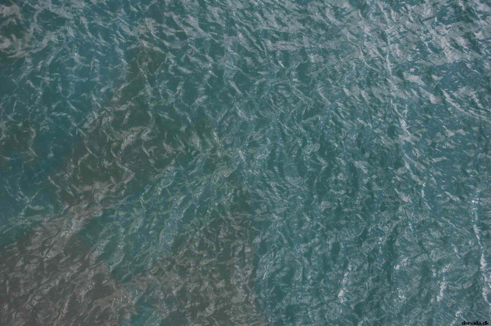 * Image 166