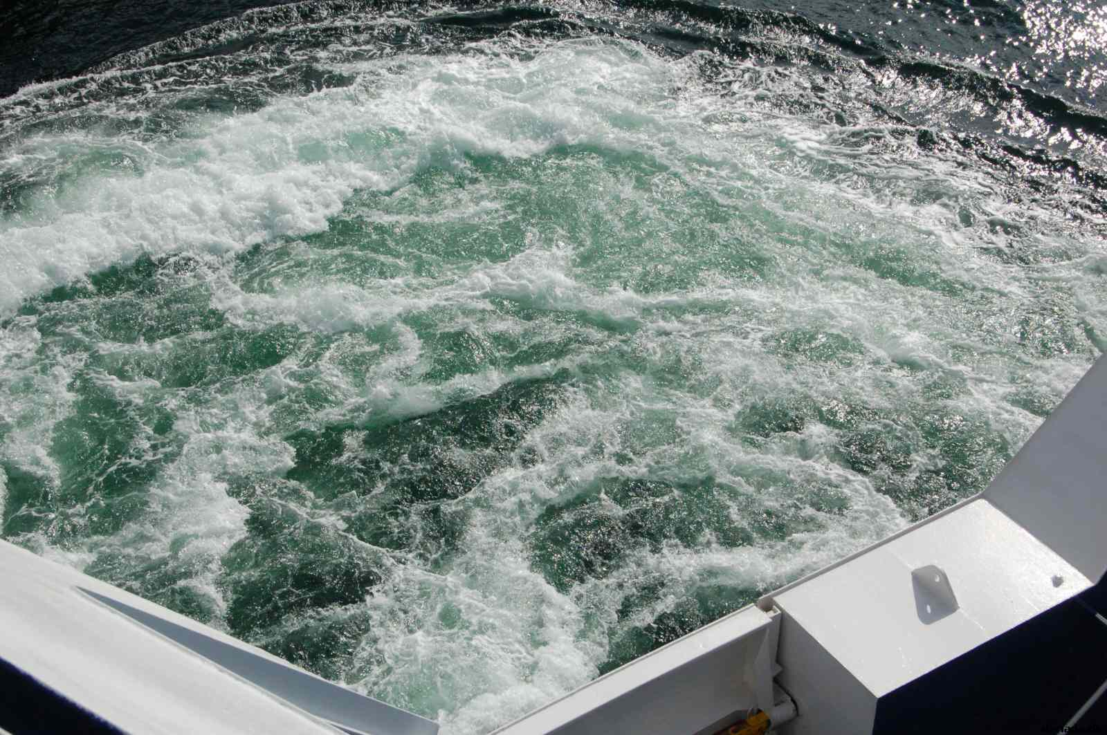 * Image 171