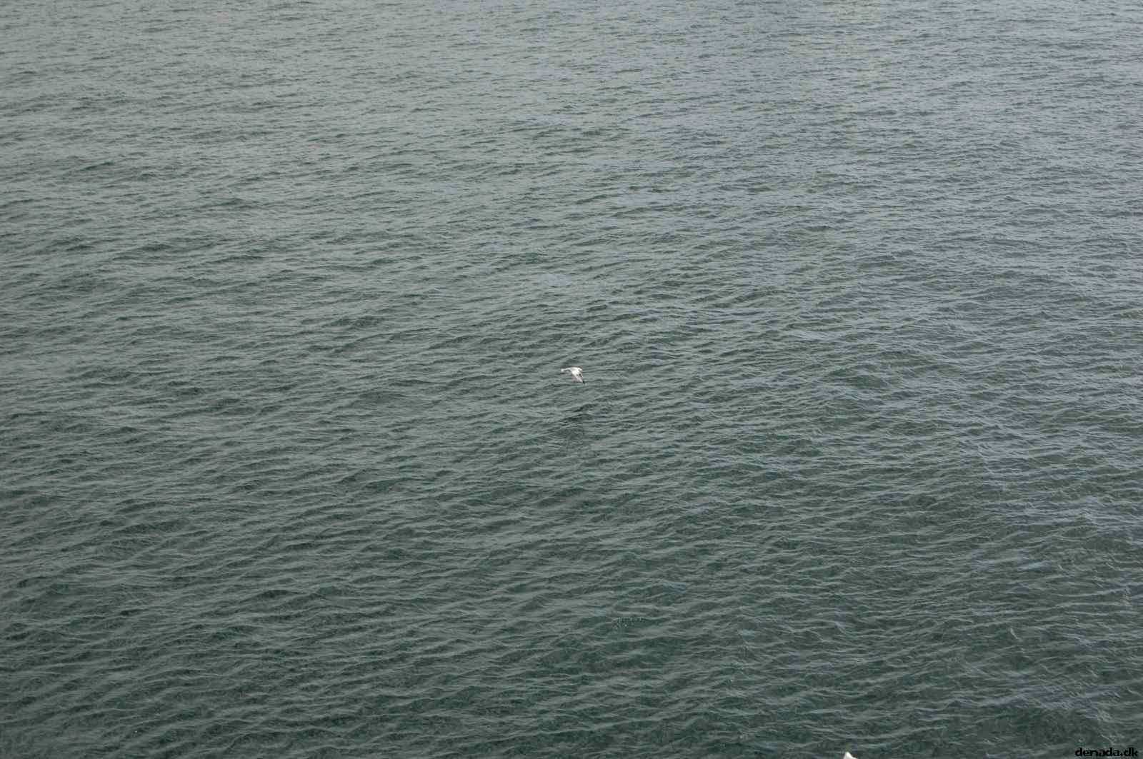 * Image 179