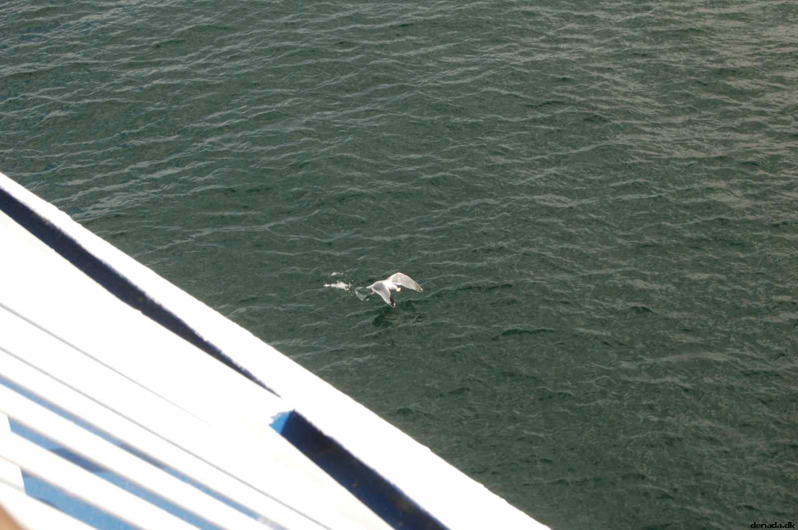 * Image 180