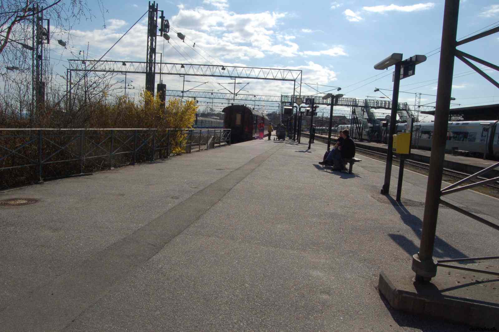 * Image 202