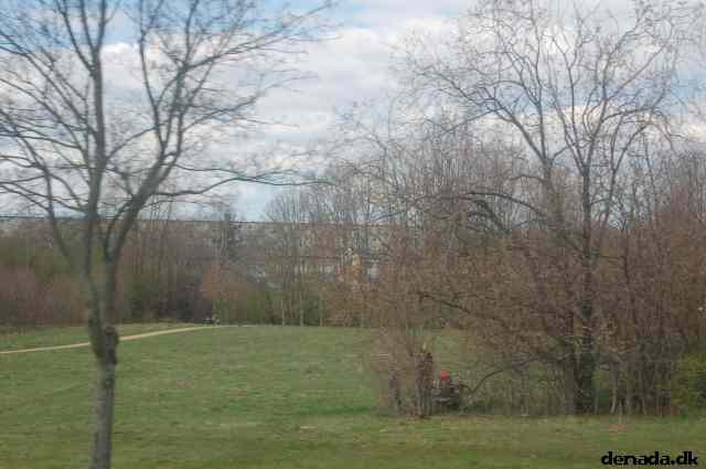 * Image 71