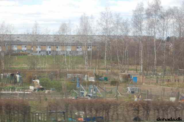 * Image 72