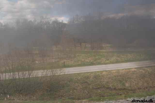 * Image 73
