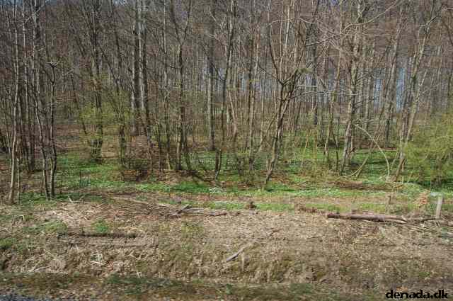 * Image 80