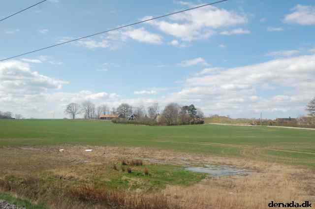 * Image 81