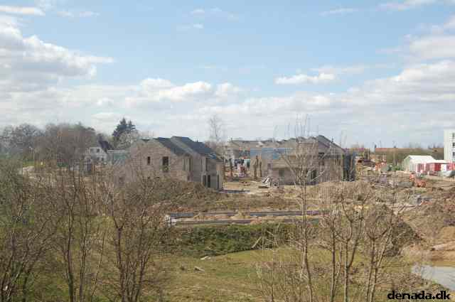 * Image 82
