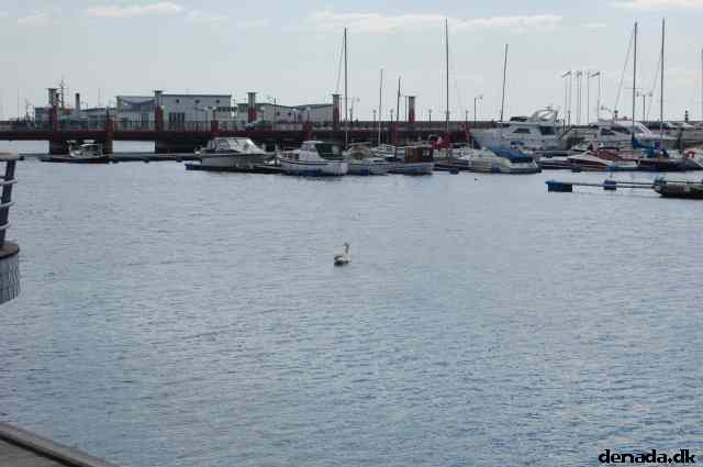 * Image 142
