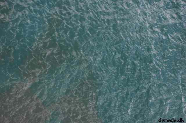* Image 166