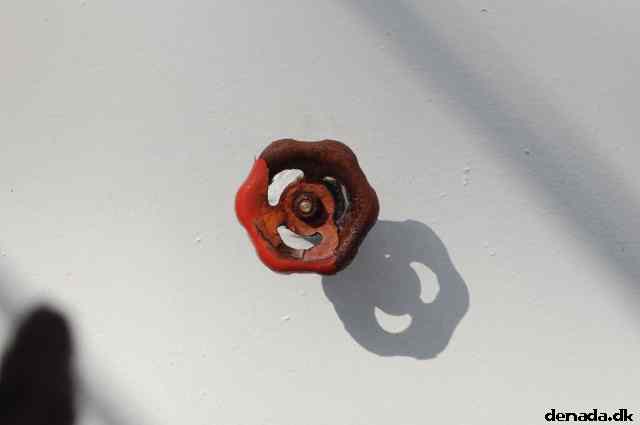 * Image 181