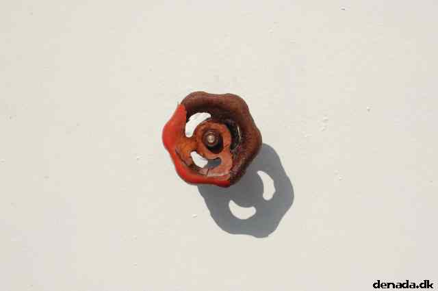 * Image 182