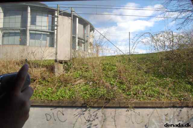 * Image 236